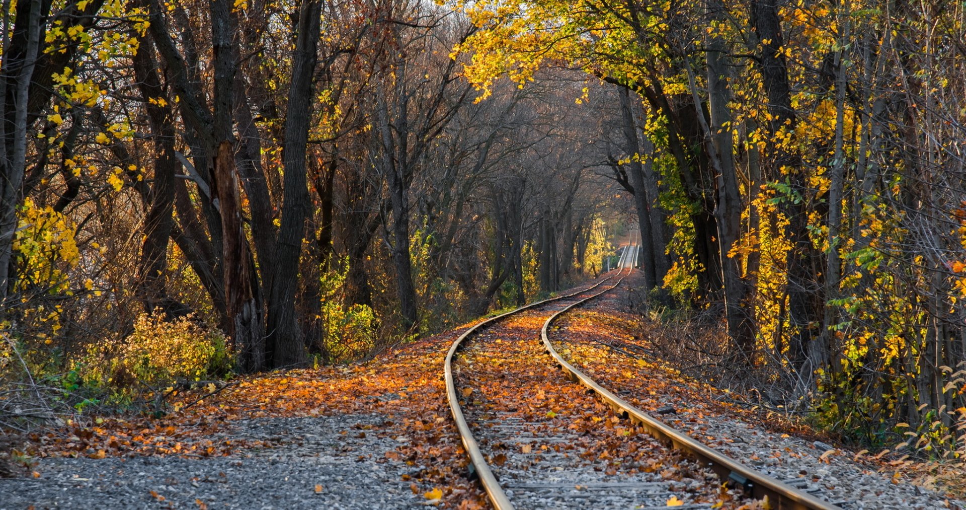 HD desktop wallpaper featuring a man-made railroad curving through a forest with autumn foliage and fallen leaves along the tracks.