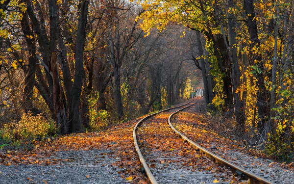 man made railroad HD Desktop Wallpaper | Background Image