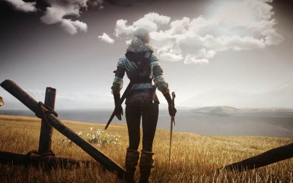 HD desktop wallpaper of Ciri from The Witcher 3: Wild Hunt, standing in a vast wheat field under a cloudy sky, looking towards a distant horizon.