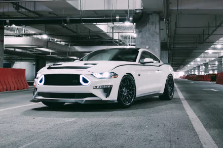 muscle car white car car Ford Ford Mustang Ford Mustang GT-R vehicle Ford Mustang RTR HD Desktop Wallpaper | Background Image