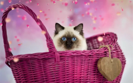 A cute cat with blue eyes sits inside a pink basket surrounded by falling petals, captured in a vibrant HD PC desktop wallpaper background.