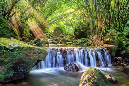 HD PC desktop wallpaper of a serene nature scene featuring a moss-covered stream, bamboo stalks, sunbeams filtering through leaves, and a gentle waterfall.