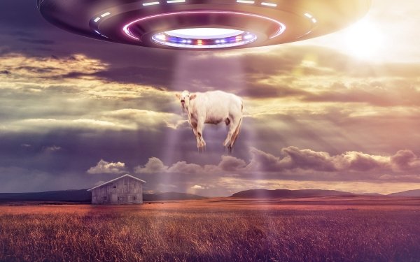Sci Fi Spaceship Abduction Cow Field UFO HD Wallpaper | Background Image