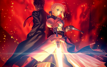 134 Fate Stay Night Hd Wallpapers Background Images Wallpaper Abyss