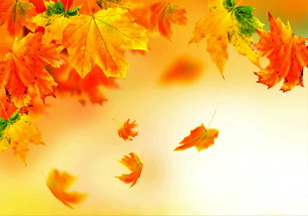  Autumn Leaves