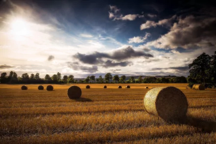 HD desktop wallpaper of a summer field with golden haystacks scattered under a vibrant sky filled with clouds, capturing the essence of nature.