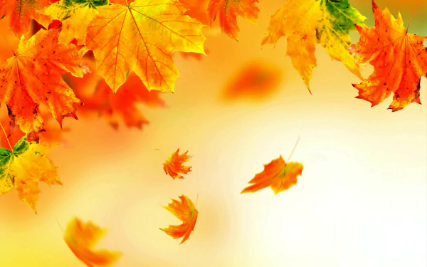 5K Ultra HD PC desktop wallpaper: colorful fall leaves falling against a soft golden nature backdrop, vibrant maple leaves drifting in an autumn breeze.