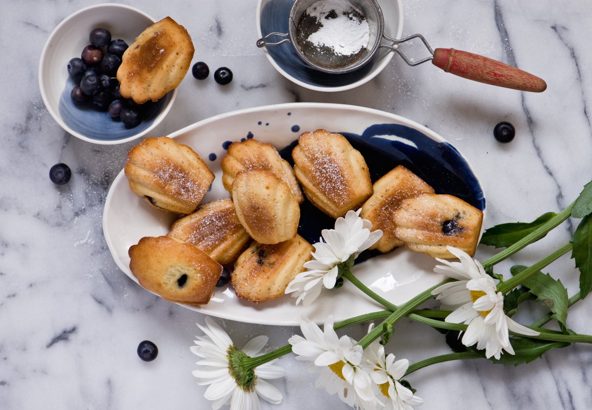 Download Blueberry White Flower Still Life Food Madeleine 4k Ultra HD Wallpaper