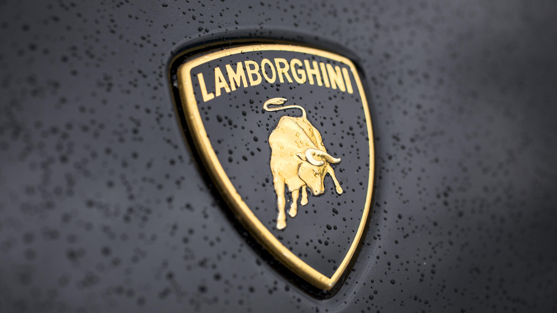Lamborghini Logo 4K Wallpaper