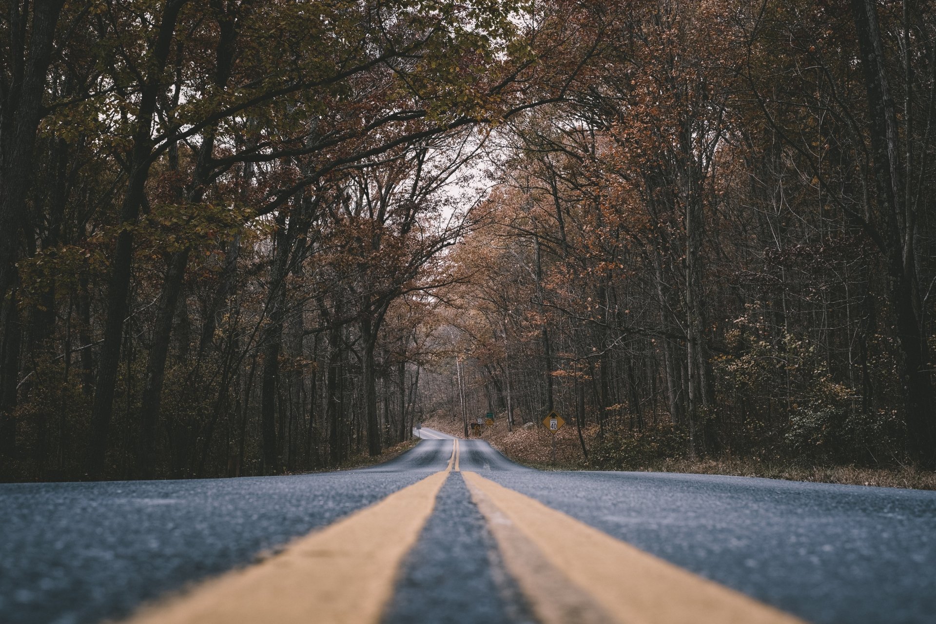A man-made road stretches through a dense forest with autumn foliage, captured in stunning 4K Ultra HD quality for a PC desktop wallpaper.