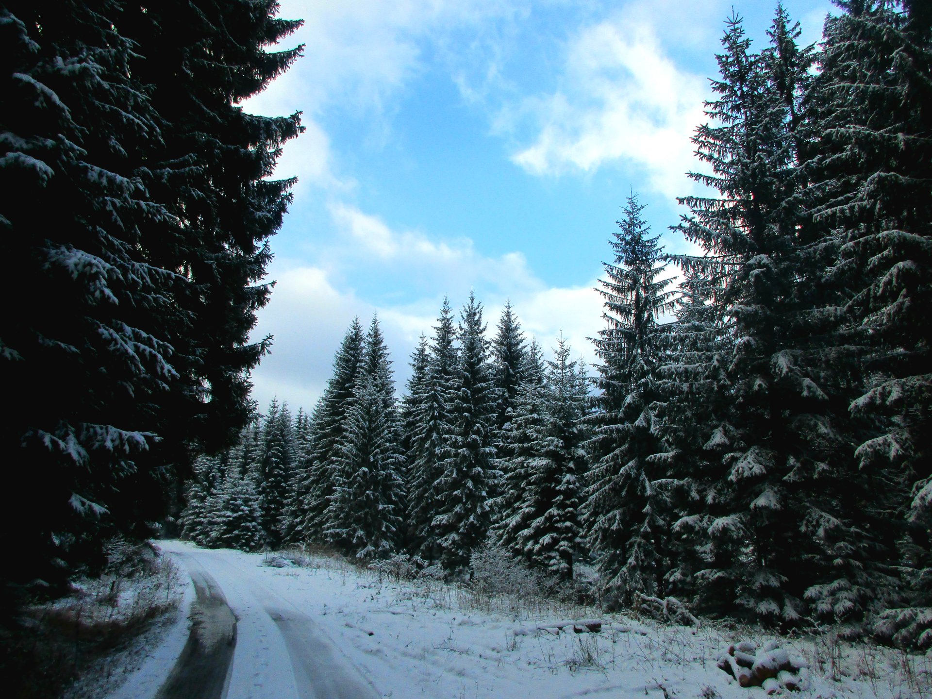 Snow-covered forest road in the Czech Republic under a bright winter sky, captured in 4K Ultra HD for a crisp nature desktop wallpaper.