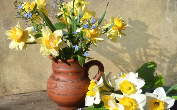 A still life HD desktop wallpaper featuring yellow and white daffodils in a rustic vase against a textured wall, showcasing vibrant floral photography.