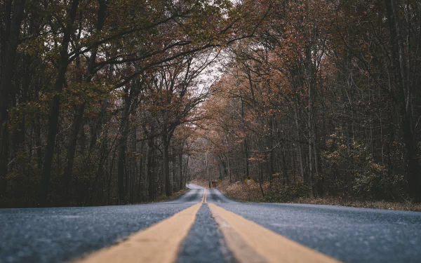 man made road HD Desktop Wallpaper | Background Image