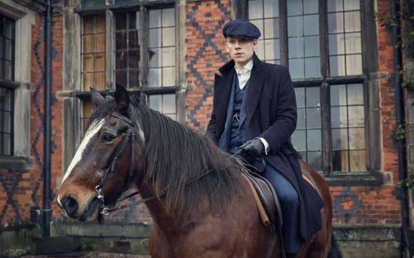TV Show Peaky Blinders Horse HD Wallpaper | Background Image