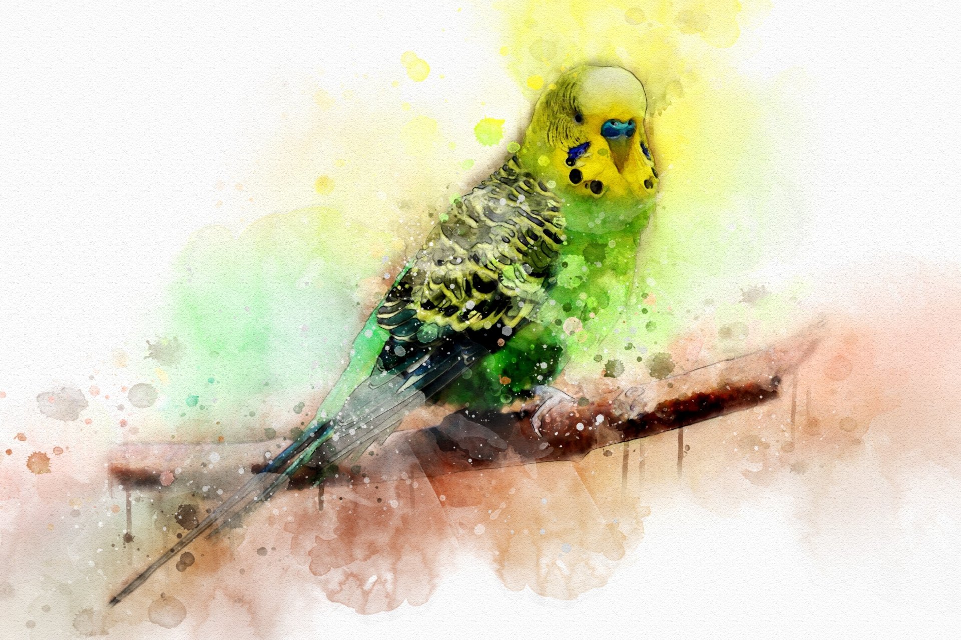 Watercolor HD desktop wallpaper of a budgerigar parrot perched on a branch, featuring soft splashes of green, yellow, and brown colors.