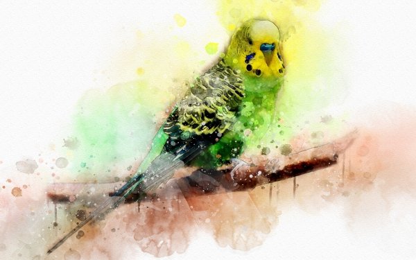 Animal Budgerigar Birds Parrots Watercolor Bird Parrot HD Wallpaper | Background Image