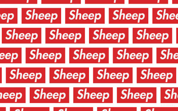 humor sheep man made Supreme HD Desktop Wallpaper | Background Image
