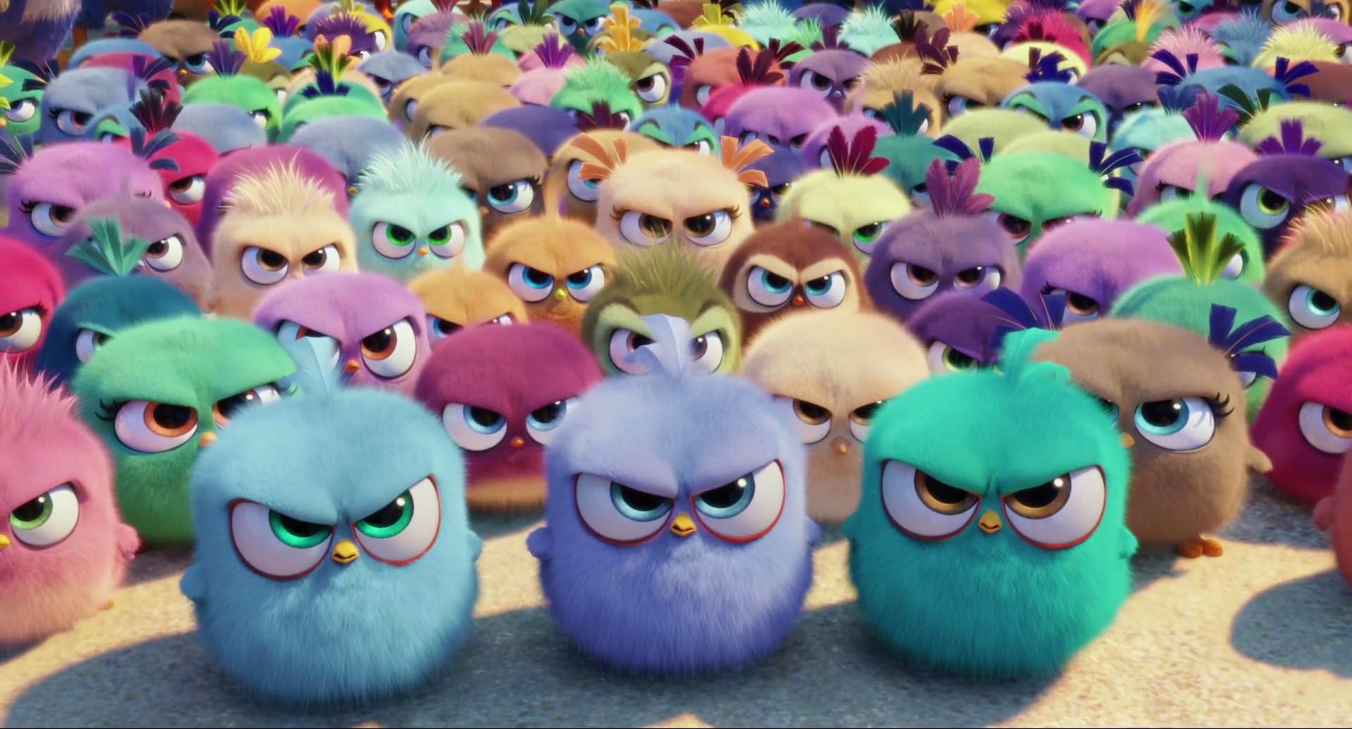 Angry birds phim hoạt hình màu xanh lá cây và màu vàng chim con dễ thương  4K tải xuống hình nền