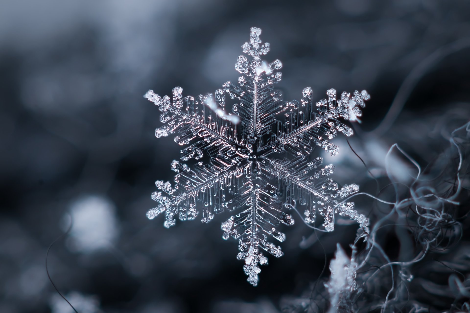 Macro shot of an artistic snowflake showcasing intricate crystalline details, designed as a high-definition PC desktop wallpaper and background.