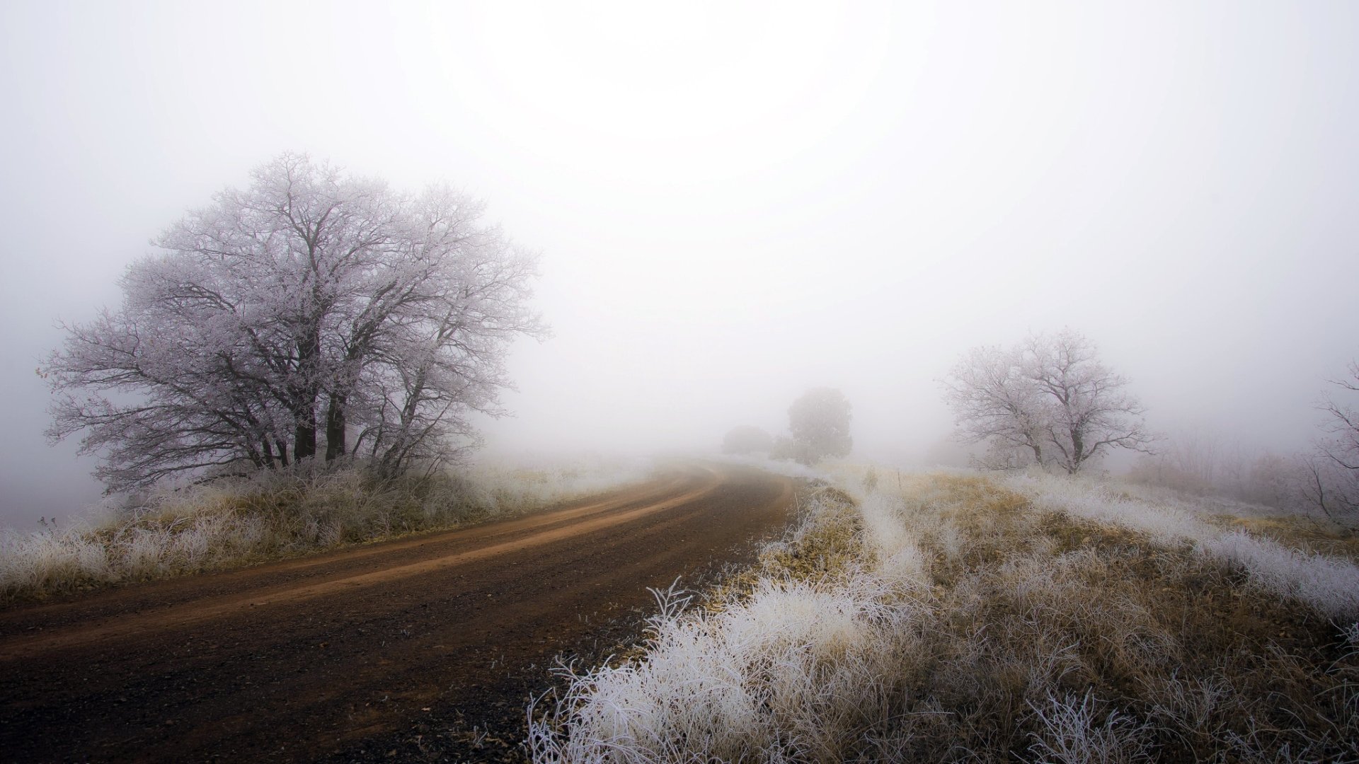 HD desktop wallpaper of a foggy dirt road winding through trees and nature, creating a serene and mysterious atmosphere.