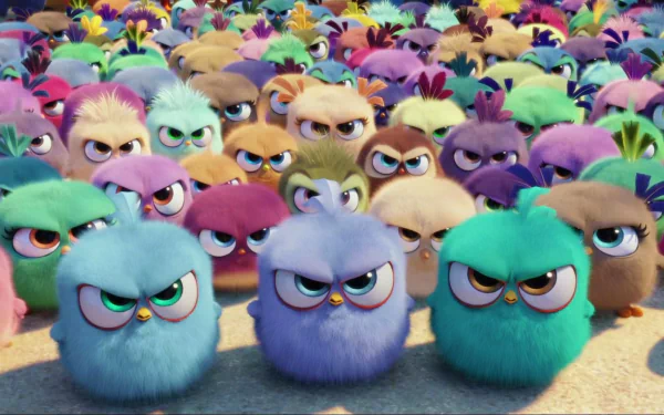 colorful movie The Angry Birds Movie HD Desktop Wallpaper | Background Image