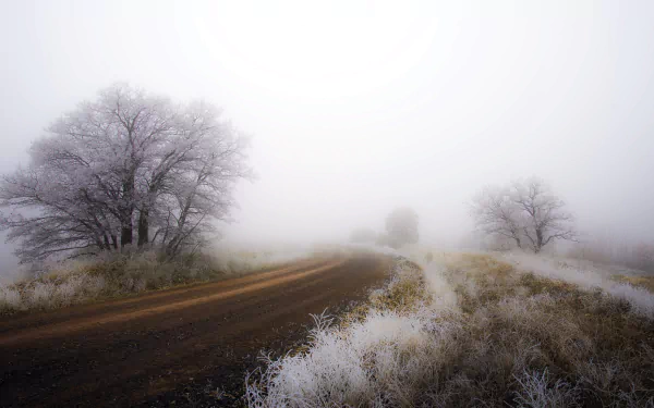 HD desktop wallpaper of a foggy dirt road winding through trees and nature, creating a serene and mysterious atmosphere.