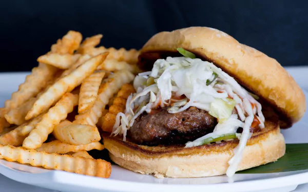 HD desktop wallpaper featuring a close-up of a hamburger with coleslaw and a side of crinkle-cut French fries, representing a classic lunch meal.