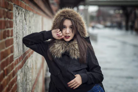 brown eyes lipstick brunette depth of field woman model HD Desktop Wallpaper | Background Image