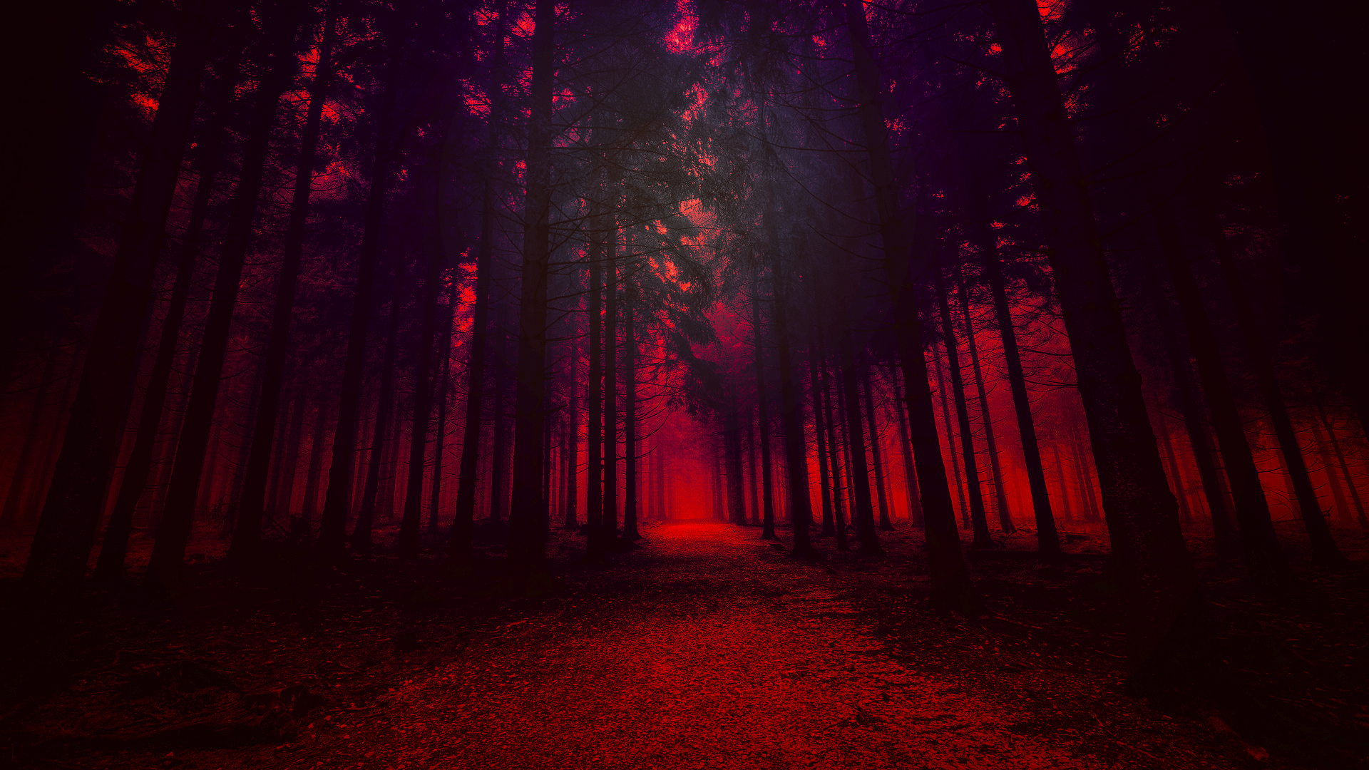 Red Woods by cleazart