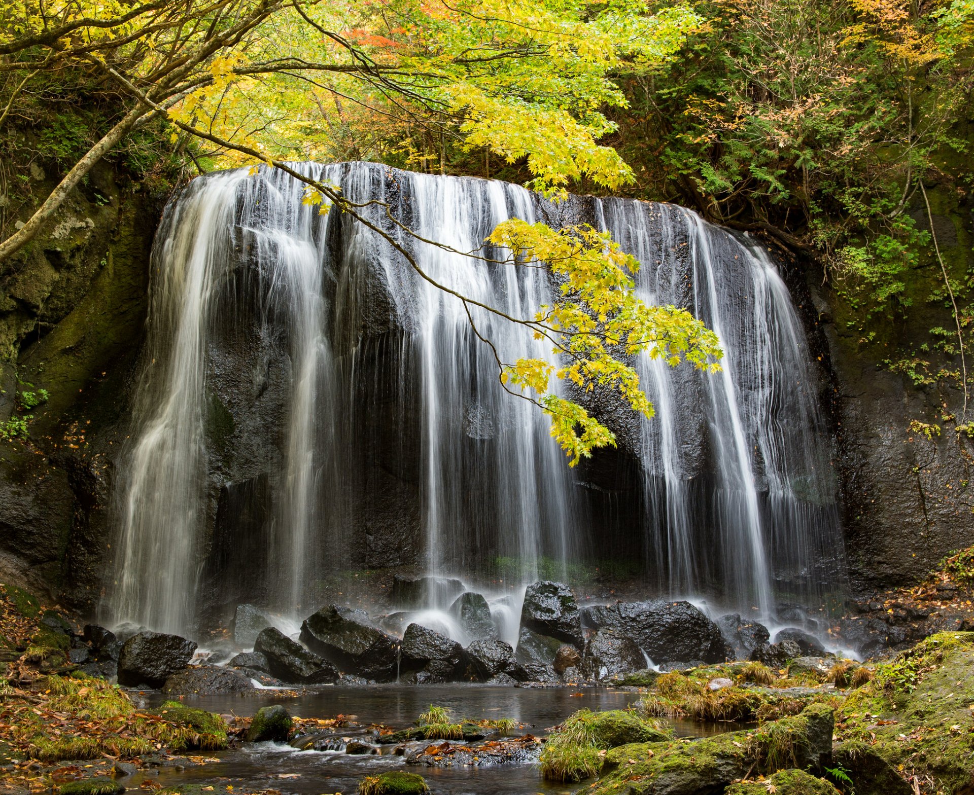 Download Fall Nature Waterfall HD Wallpaper