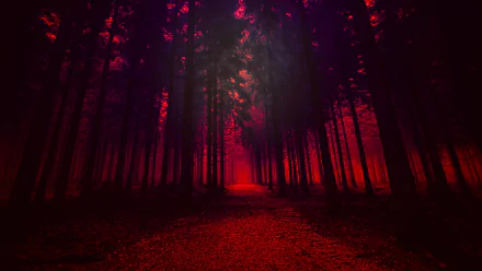 HD desktop wallpaper of a mystical red-lit forest pathway, showcasing an artistic depiction of nature with towering trees and a mysterious ambiance.