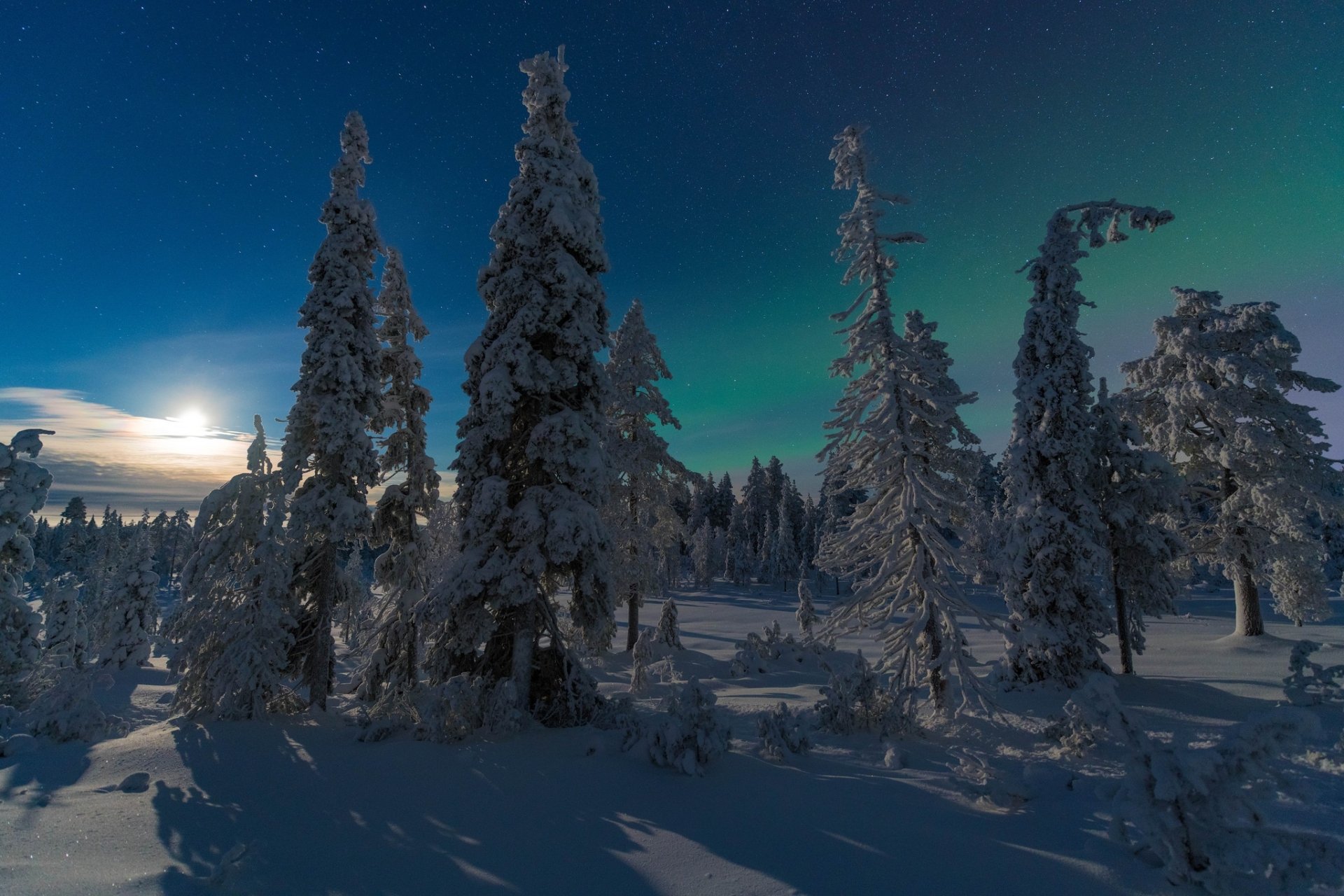 HD desktop wallpaper of a winter landscape featuring snow-covered trees under a vibrant aurora borealis sky in a natural setting.