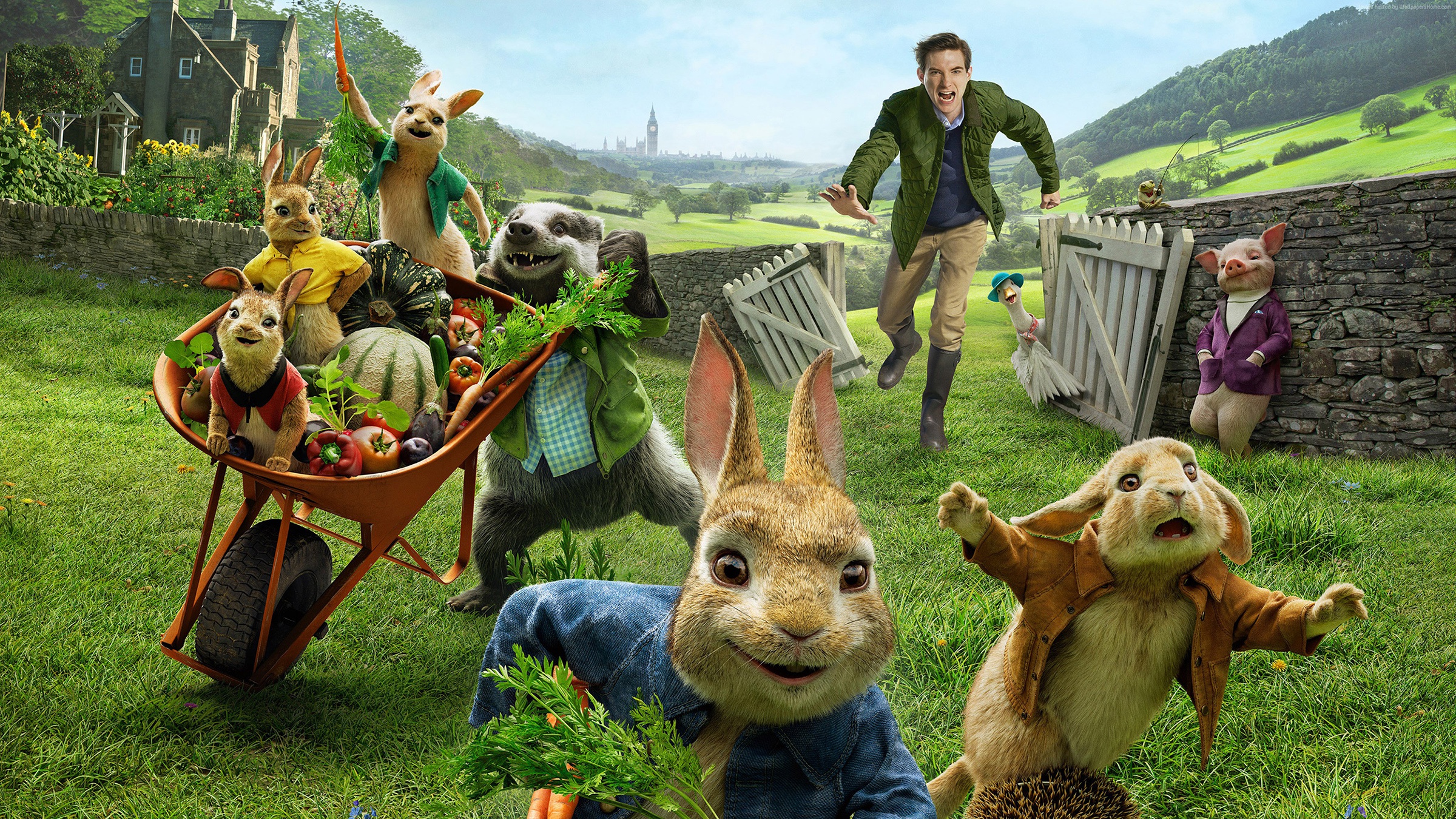 Movie Peter Rabbit HD Wallpaper | Background Image