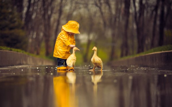 Photography Child Little Boy Raincoat Goose Cute Reflection HD Wallpaper | Background Image