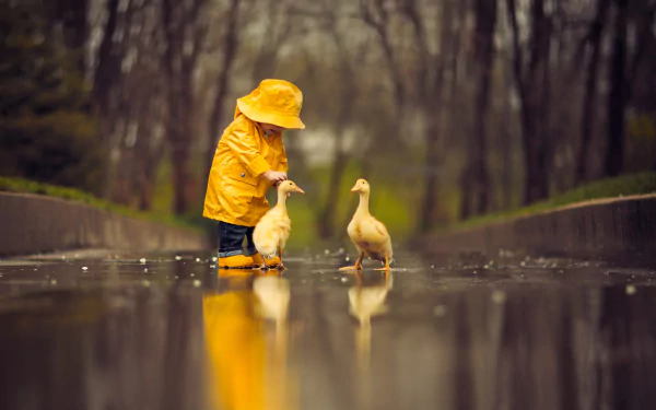 A cute little boy in a yellow raincoat interacts with two geese, their reflections visible on the wet ground in a serene outdoor setting.