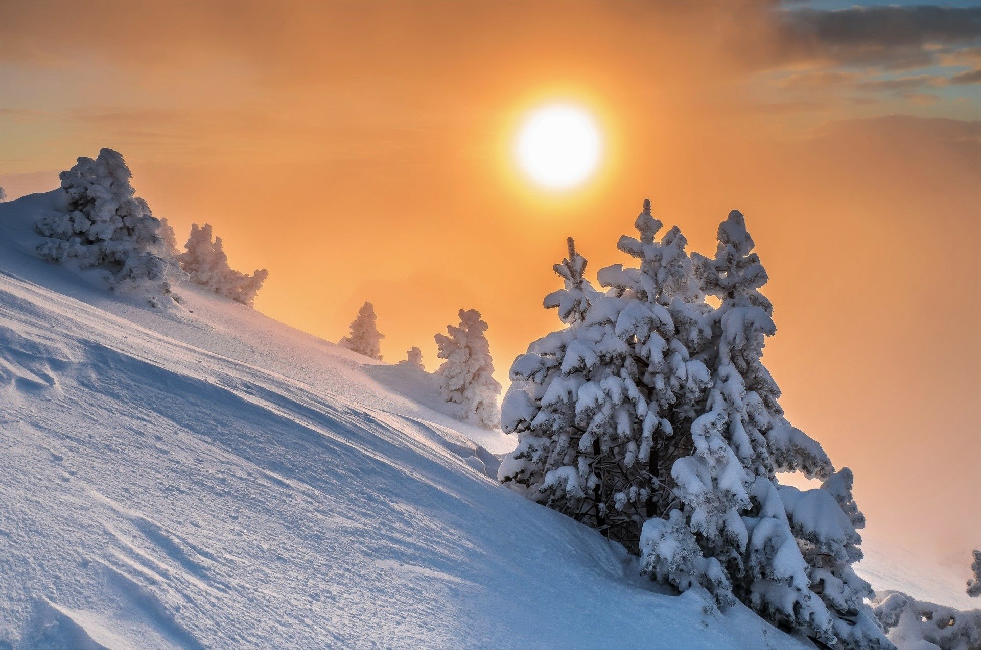 Download Sun Sunset Snow Forest Tree Nature Winter HD Wallpaper