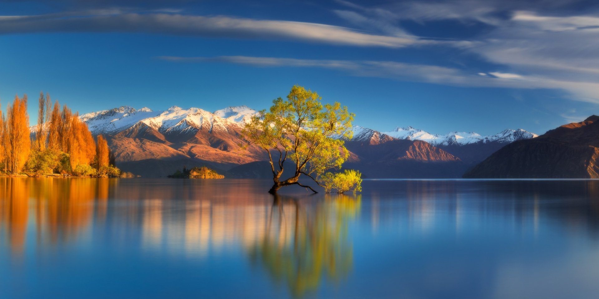 A serene HD desktop wallpaper of a lone tree standing in a calm lake, with snowy mountains and vivid foliage reflecting on the water, depicting a harmonious blend of nature's elements.