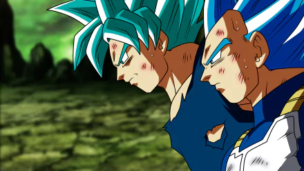 Goku and Vegeta from Dragon Ball Super in intense battle mode, showcased in vibrant 4K Ultra HD PC desktop wallpaper quality.
