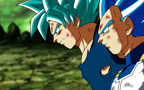 Goku and Vegeta from Dragon Ball Super in intense battle mode, showcased in vibrant 4K Ultra HD PC desktop wallpaper quality.
