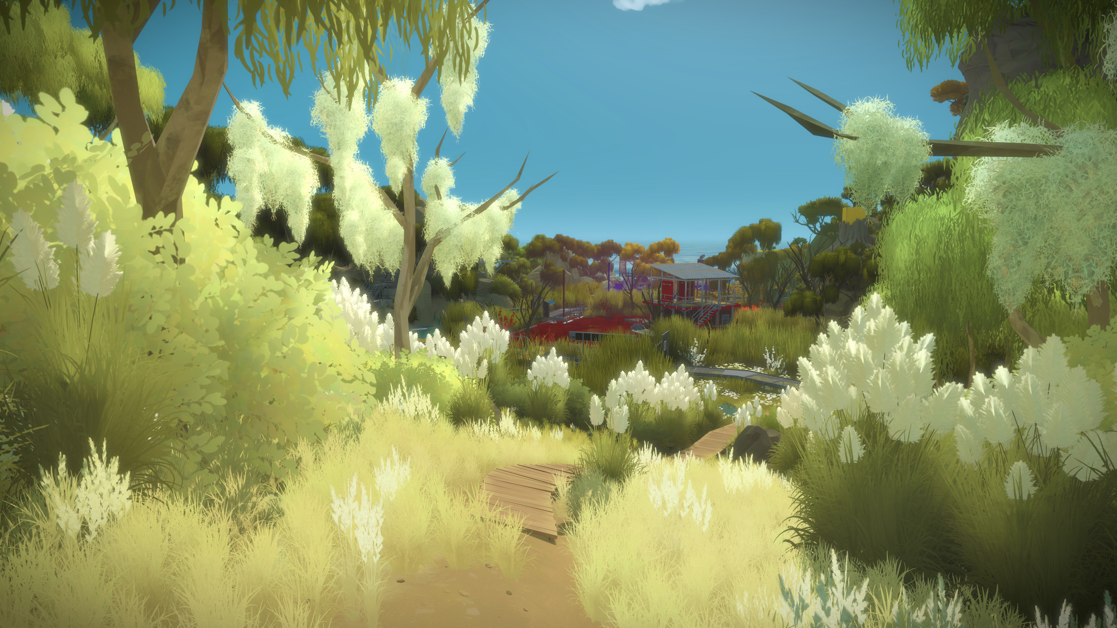 Download Video Game The Witness 4k Ultra HD Wallpaper