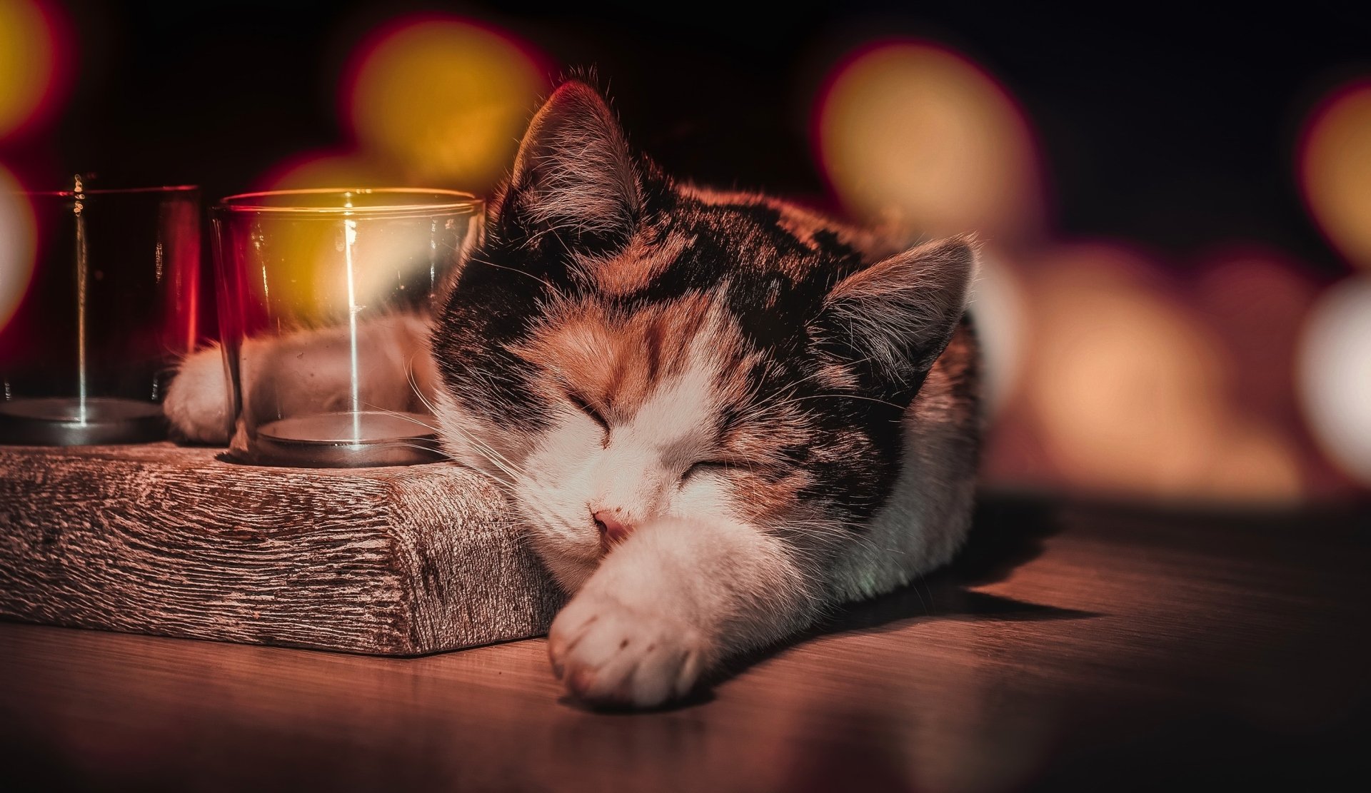 Sleeping calico cat rests peacefully beside candles in a warm, softly lit HD desktop wallpaper background.