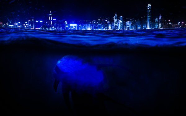 Fantasy Sea Monster Photoshop Sea Underwater City Night Blue HD Wallpaper | Background Image