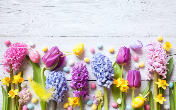 Colorful Easter flowers including purple tulips, blue and pink hyacinths, yellow daffodils, and pastel eggs arranged on a white wooden background, in 4K Ultra HD.