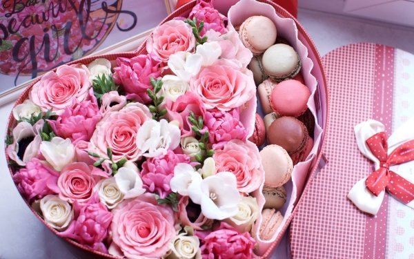 Holiday Valentine's Day Heart-Shaped Macaron Love Rose Flower Pink Flower White Flower HD Wallpaper | Background Image