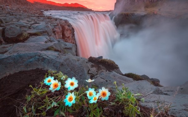 Nature Waterfall Waterfalls River White Flower Sunset HD Wallpaper | Background Image
