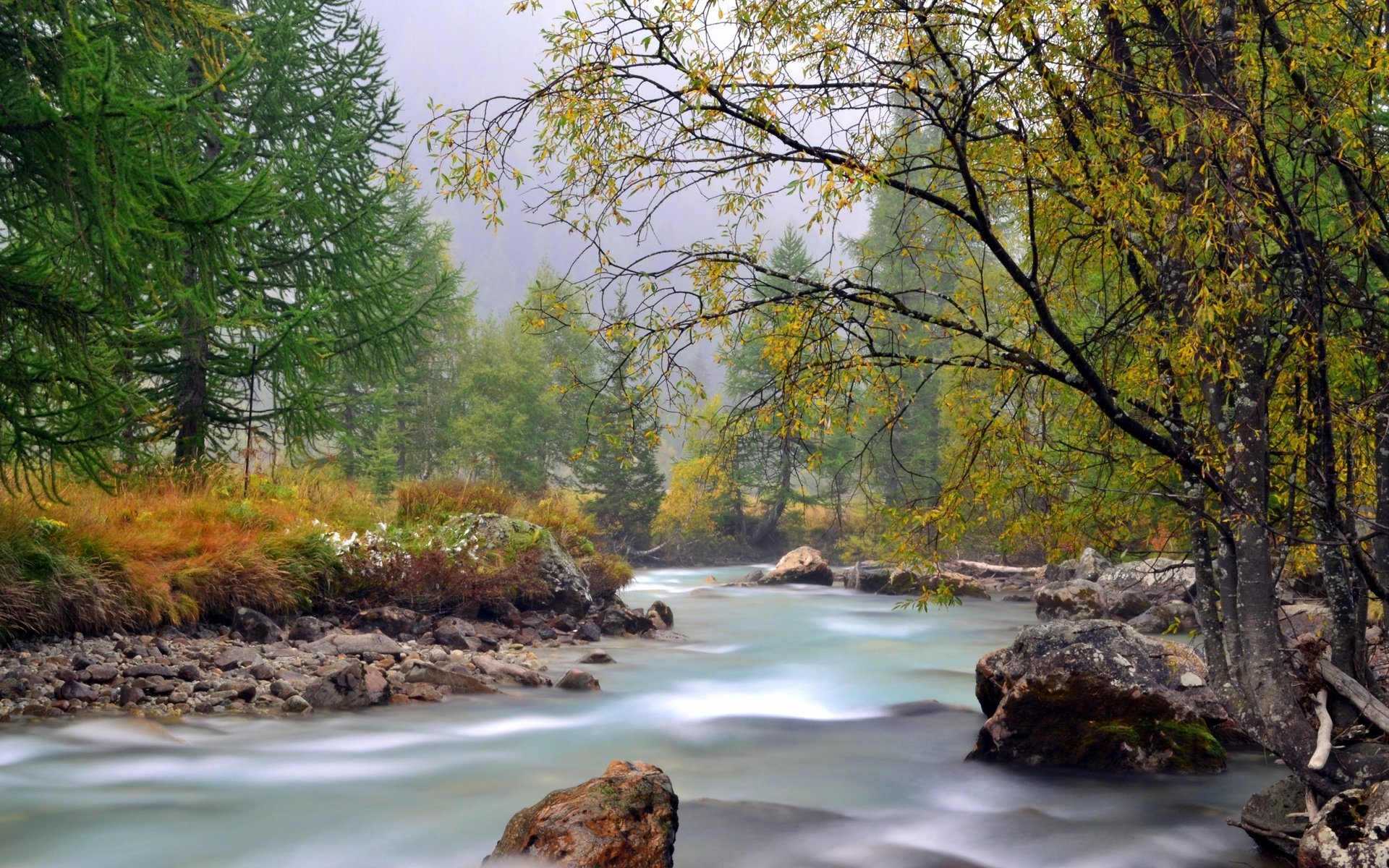 HD PC desktop wallpaper: tranquil river through nature, a forest of trees with mossy rocks and autumn foliage under a misty sky.