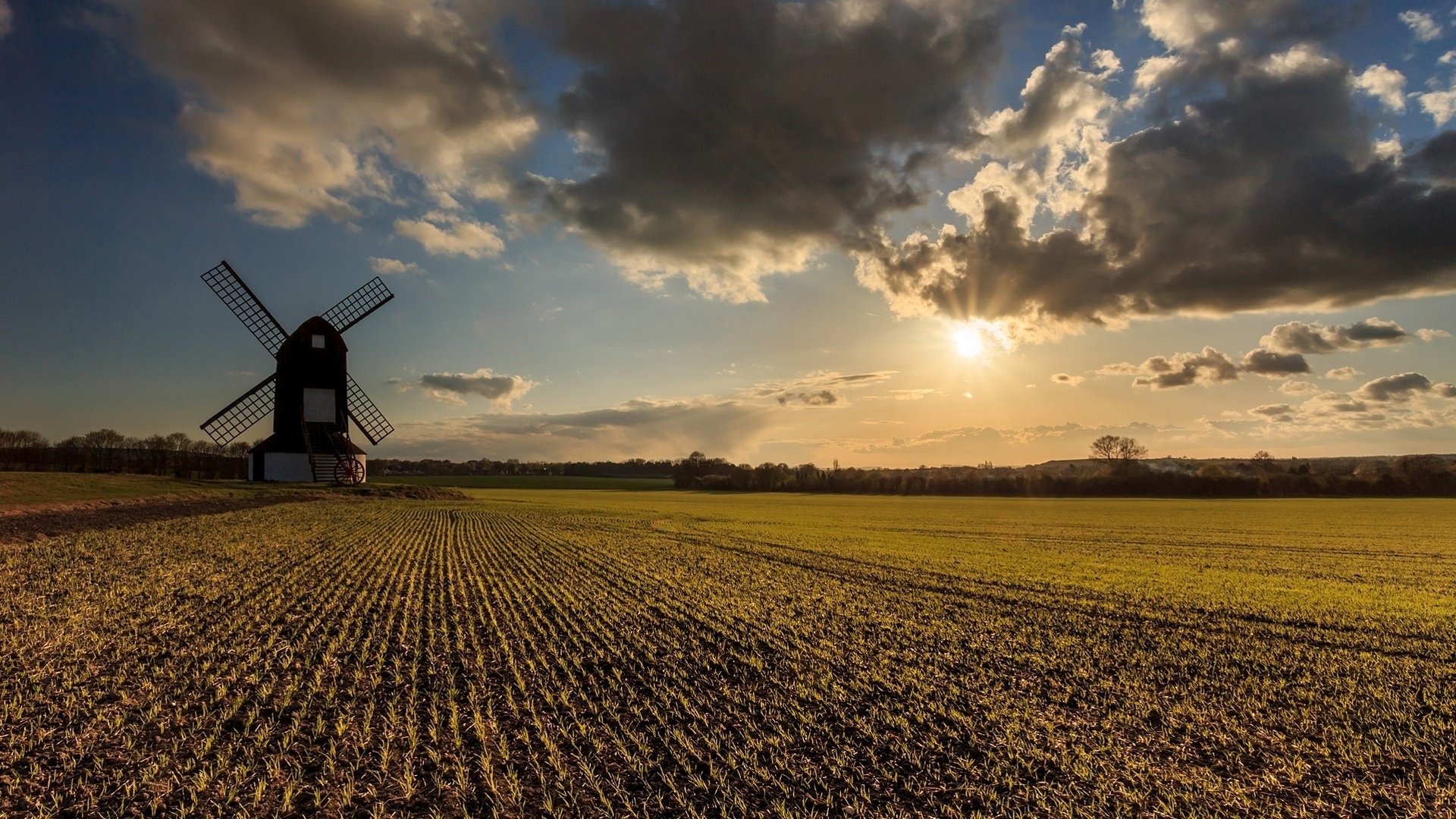 Sunlit Field with Classic Windmill HD Wallpaper | 1920x1080 | Wallpaper ...