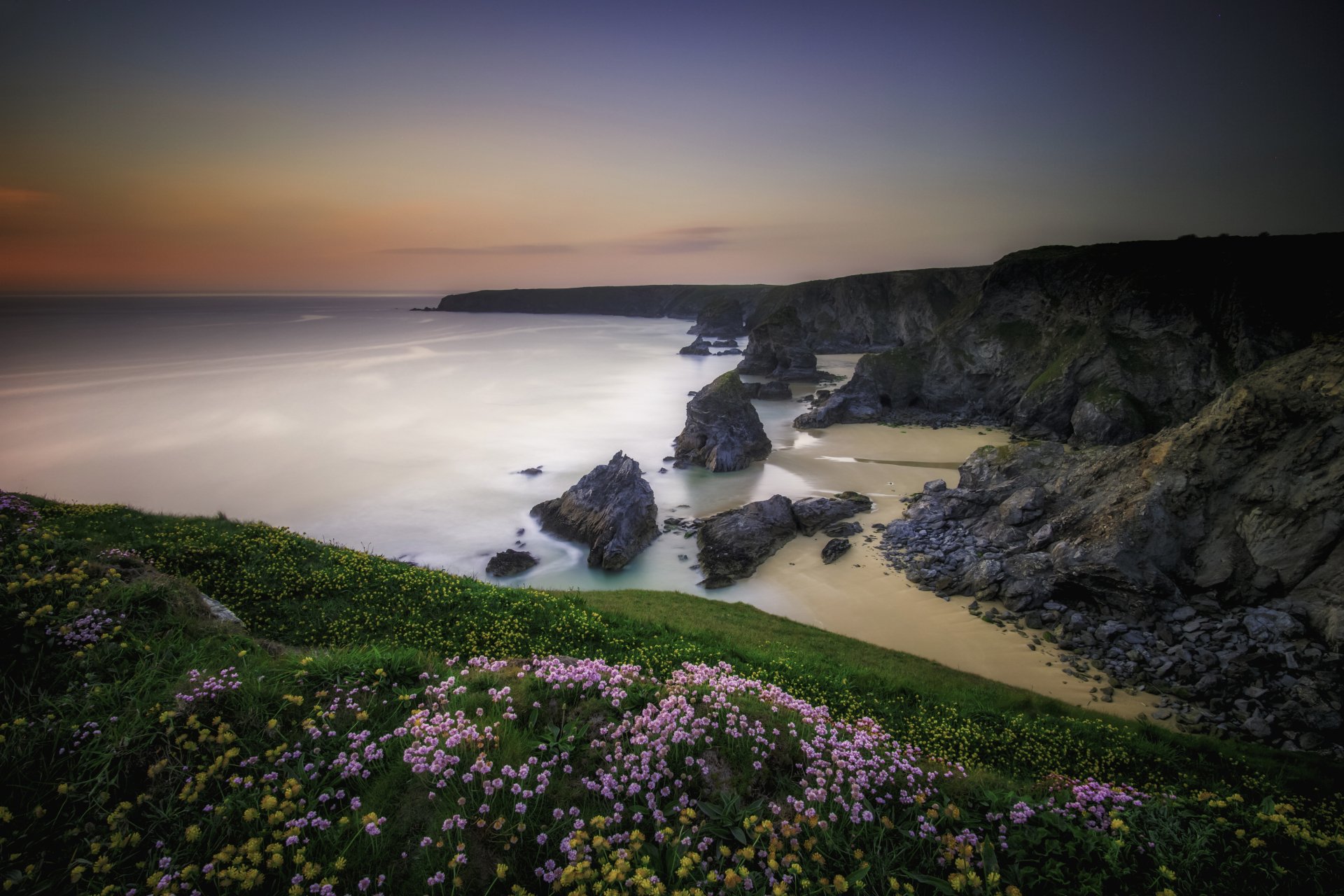 5K Ultra HD PC desktop wallpaper of coastal nature at sunset: grassy cliff with pink flowers overlooking rocky coastline, beach and calm ocean on the horizon.