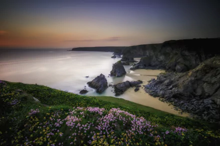 5K Ultra HD PC desktop wallpaper of coastal nature at sunset: grassy cliff with pink flowers overlooking rocky coastline, beach and calm ocean on the horizon.