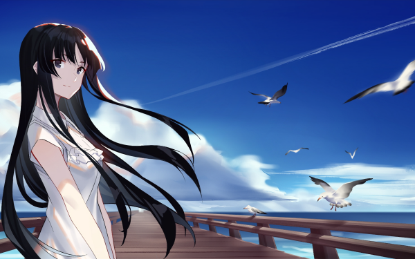 Anime K-ON! Mio Akiyama Bird Long Hair HD Wallpaper | Background Image